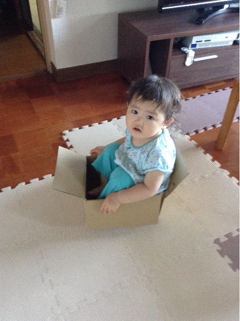 f:id:vannie:20150606204326j:image f:id:vannie:20150606204326j:image