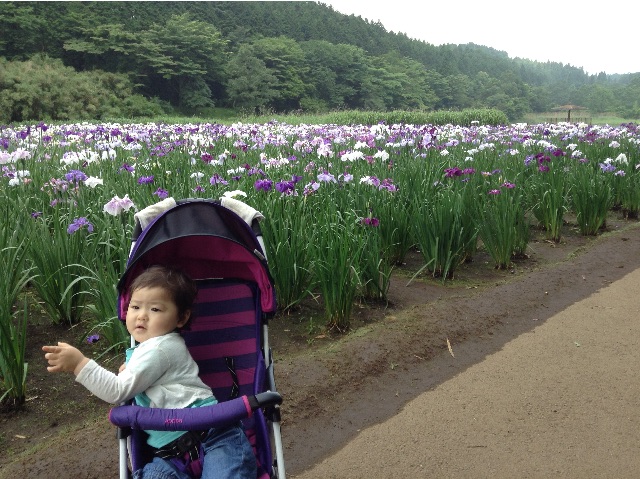 f:id:vannie:20150622210649j:image f:id:vannie:20150622210649j:image