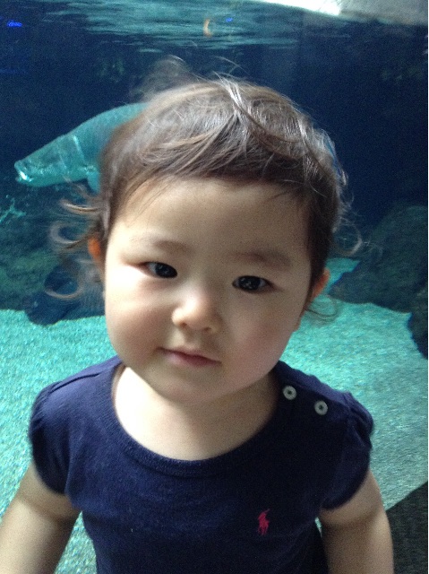 f:id:vannie:20150714204555j:image f:id:vannie:20150714204555j:image