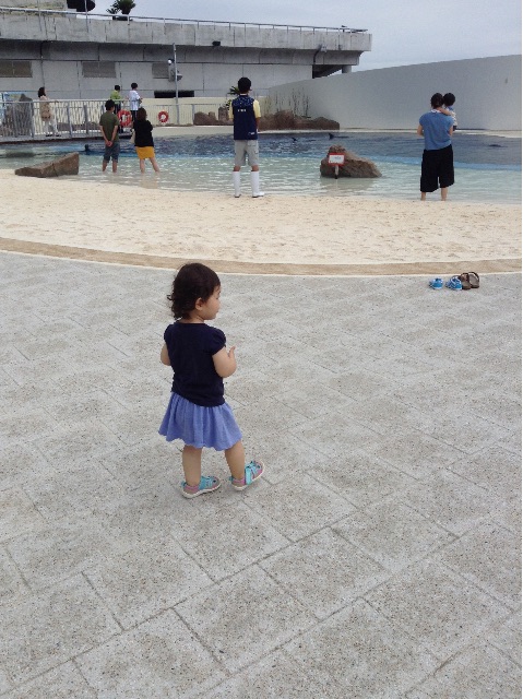 f:id:vannie:20150714205223j:image f:id:vannie:20150714205223j:image