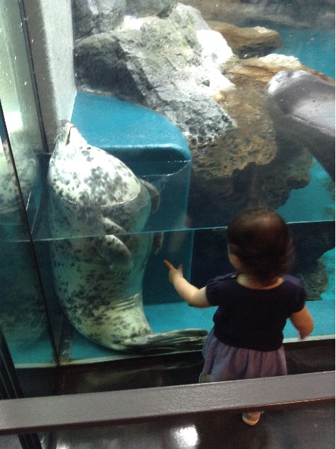 f:id:vannie:20150714205451j:image f:id:vannie:20150714205451j:image