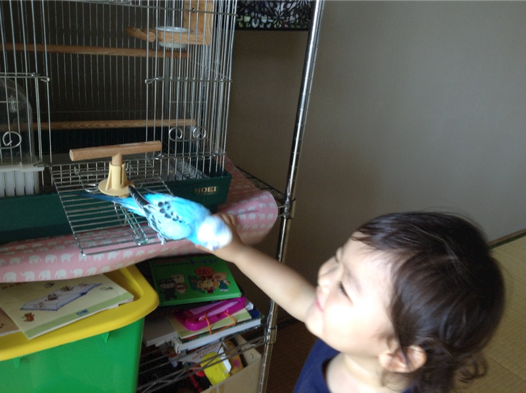 f:id:vannie:20150805214316j:image f:id:vannie:20150805214316j:image