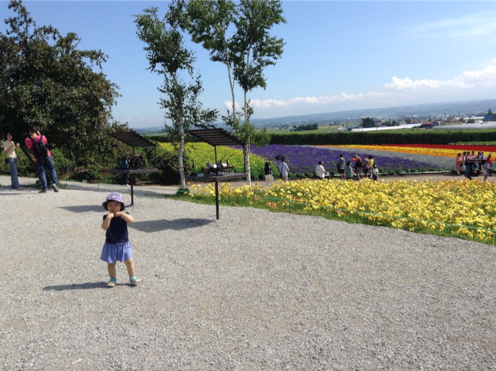 f:id:vannie:20150808205202j:image f:id:vannie:20150808205202j:image