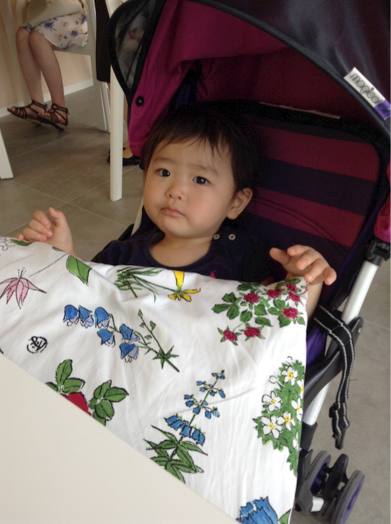 f:id:vannie:20150809211708j:image f:id:vannie:20150809211708j:image