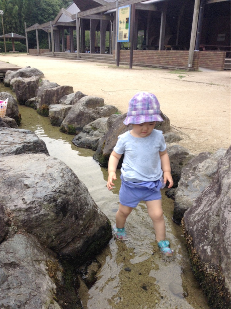 f:id:vannie:20150816212827j:image f:id:vannie:20150816212827j:image