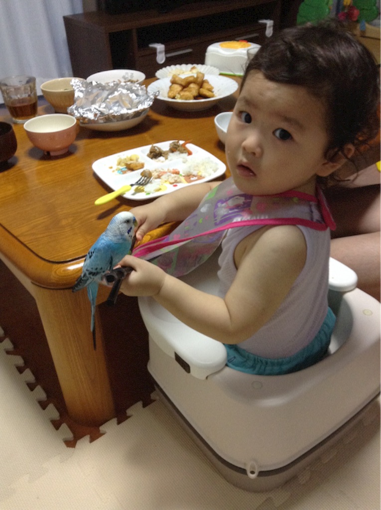 f:id:vannie:20150902134647j:image f:id:vannie:20150902134647j:image