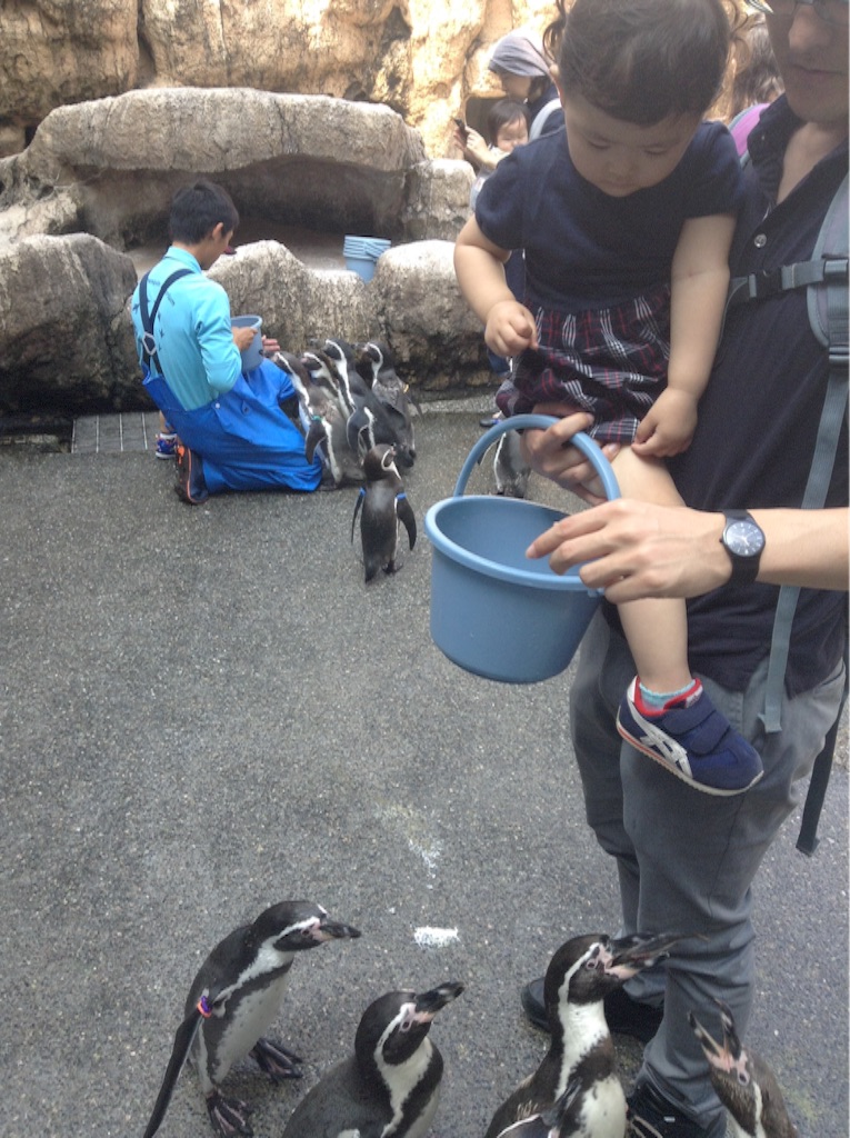 f:id:vannie:20150927204726j:image f:id:vannie:20150927204726j:image