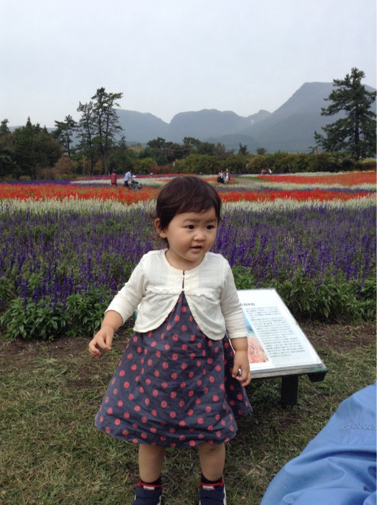 f:id:vannie:20151012134835j:image f:id:vannie:20151012134835j:image