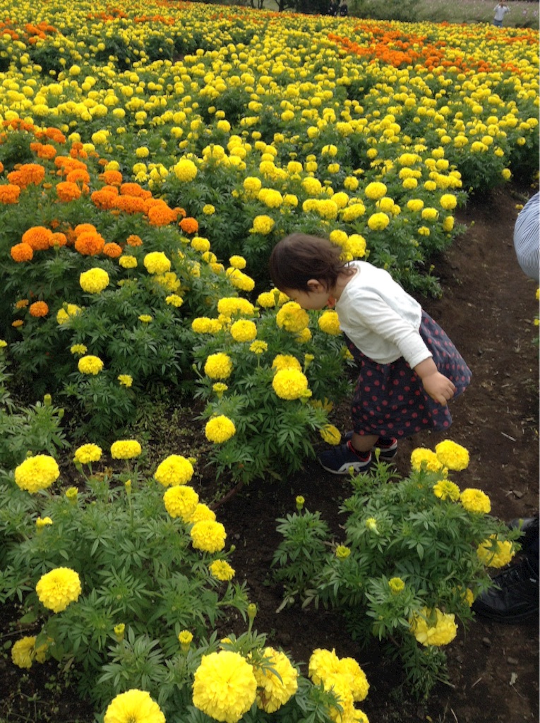 f:id:vannie:20151012135009j:image f:id:vannie:20151012135009j:image