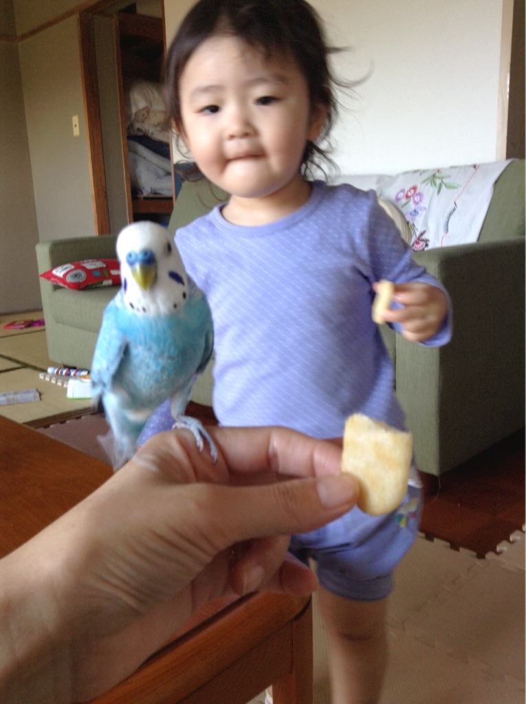 f:id:vannie:20151017215445j:image f:id:vannie:20151017215445j:image