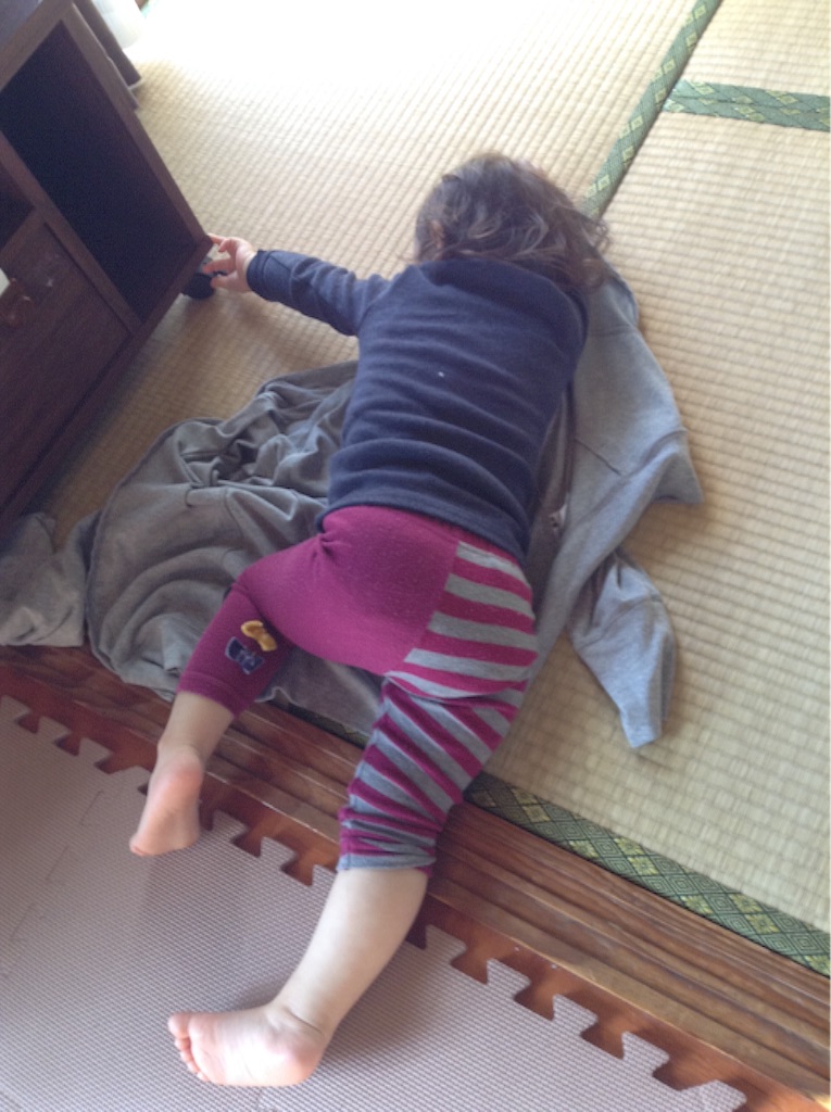 f:id:vannie:20151101214250j:image f:id:vannie:20151101214250j:image