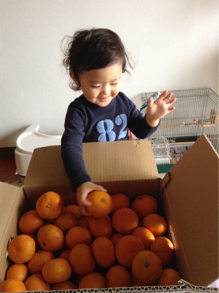 f:id:vannie:20151112211838j:image f:id:vannie:20151112211838j:image