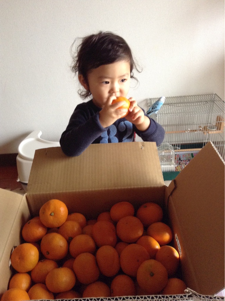 f:id:vannie:20151112211912j:image f:id:vannie:20151112211912j:image