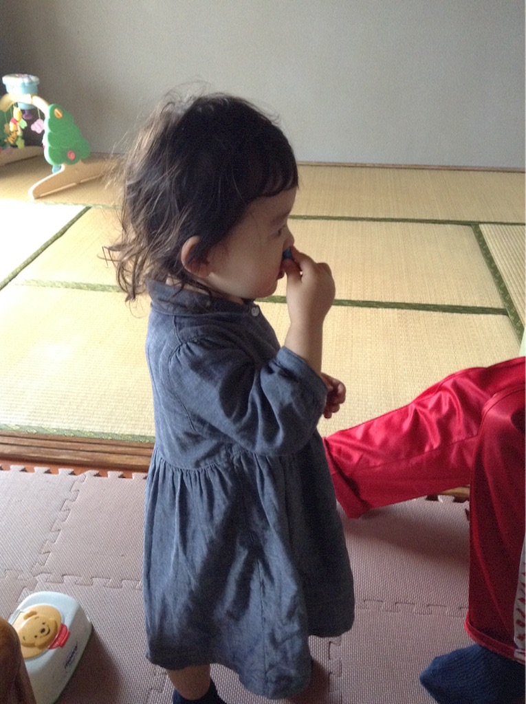 f:id:vannie:20151118213344j:image f:id:vannie:20151118213344j:image