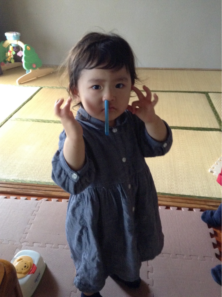 f:id:vannie:20151118213434j:image f:id:vannie:20151118213434j:image