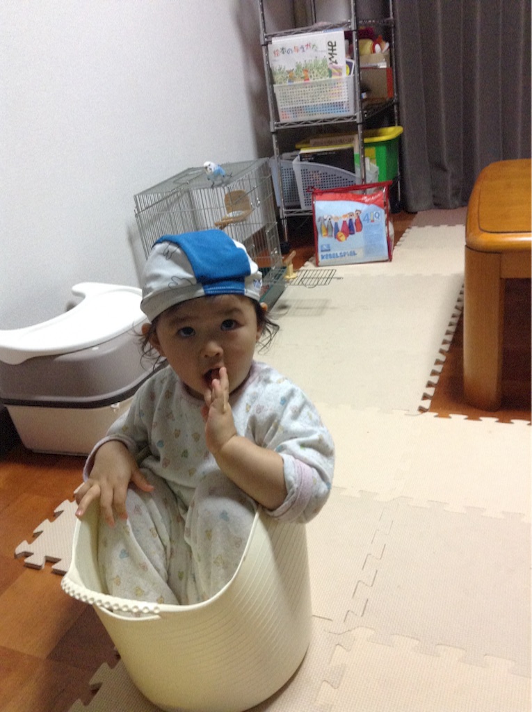 f:id:vannie:20151120225725j:image f:id:vannie:20151120225725j:image