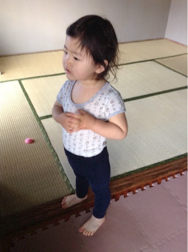 f:id:vannie:20151204223733j:image f:id:vannie:20151204223733j:image
