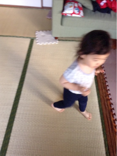f:id:vannie:20151204223858j:image f:id:vannie:20151204223858j:image