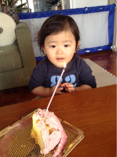 f:id:vannie:20151231205811j:image f:id:vannie:20151231205811j:image