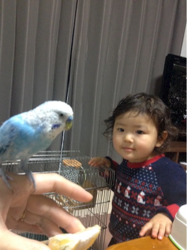f:id:vannie:20160114215700j:image f:id:vannie:20160114215700j:image
