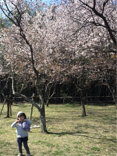 f:id:vannie:20160321170532j:image f:id:vannie:20160321170532j:image