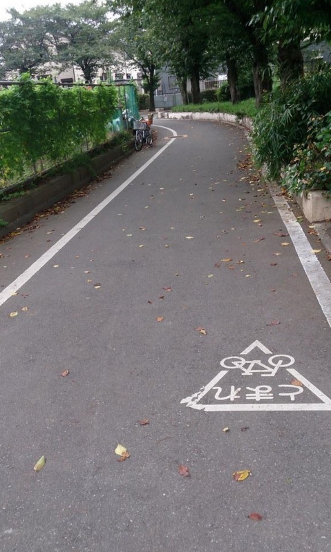 前谷津川② 写真日和