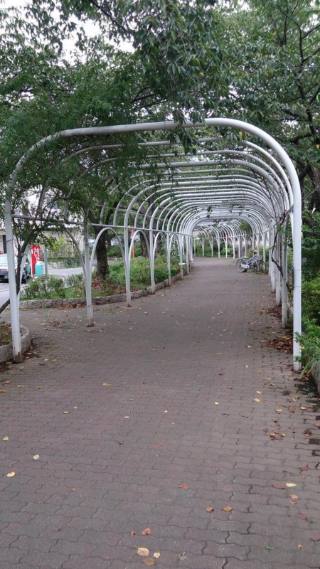 前谷津川③ 写真日和