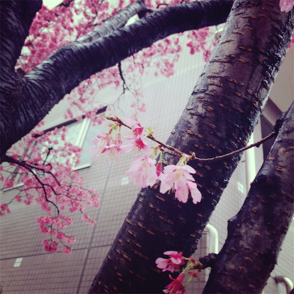 f:id:vcshiori:20160312174139j:image f:id:vcshiori:20160312174139j:image