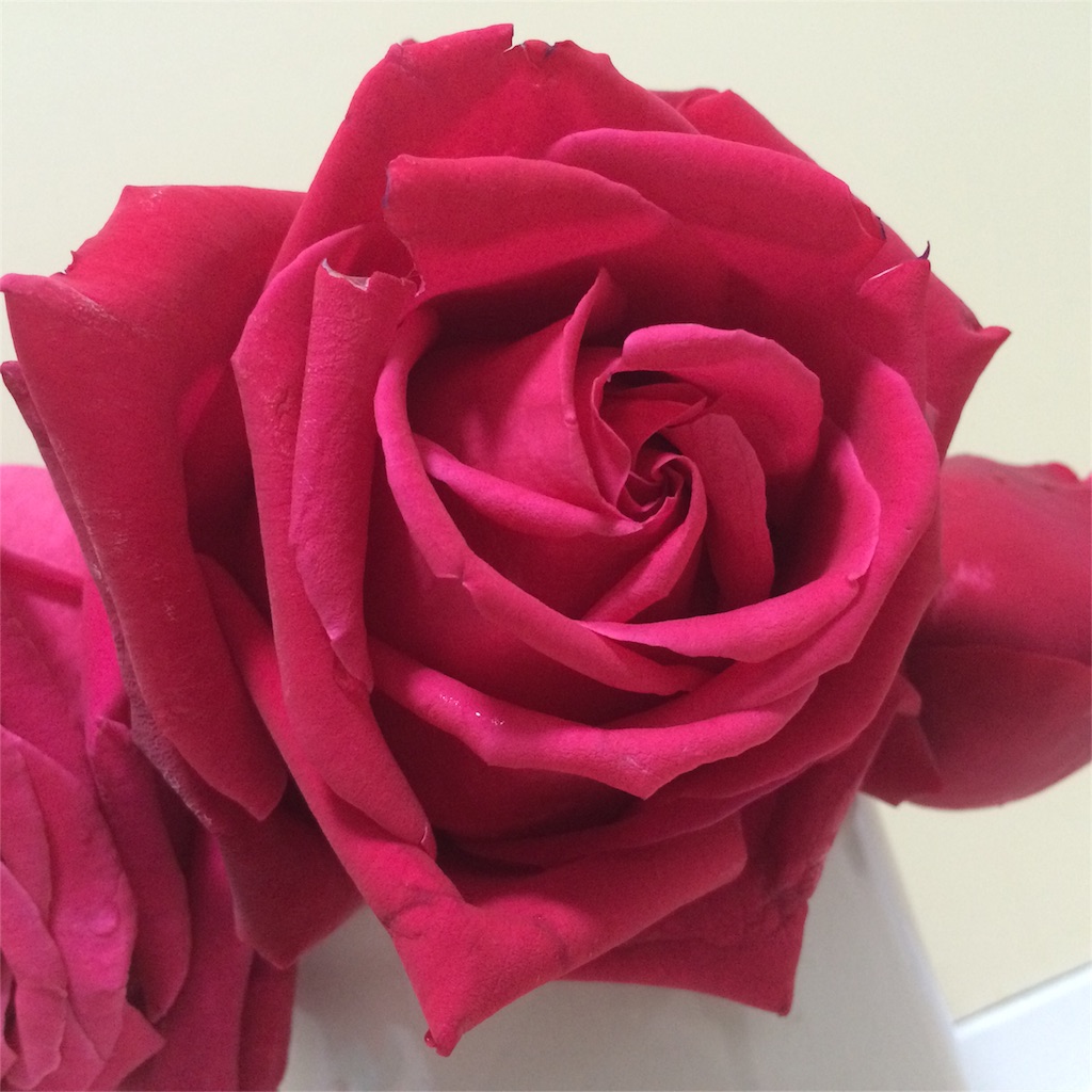 f:id:vcshiori:20160504174705j:image f:id:vcshiori:20160504174705j:image