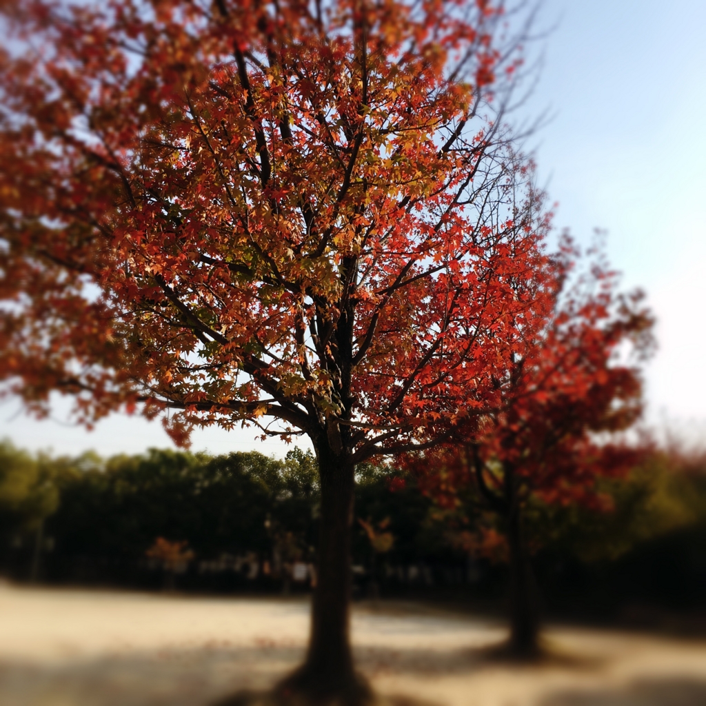 f:id:vejeboo:20151030175815j:plain f:id:vejeboo:20151030175815j:plain