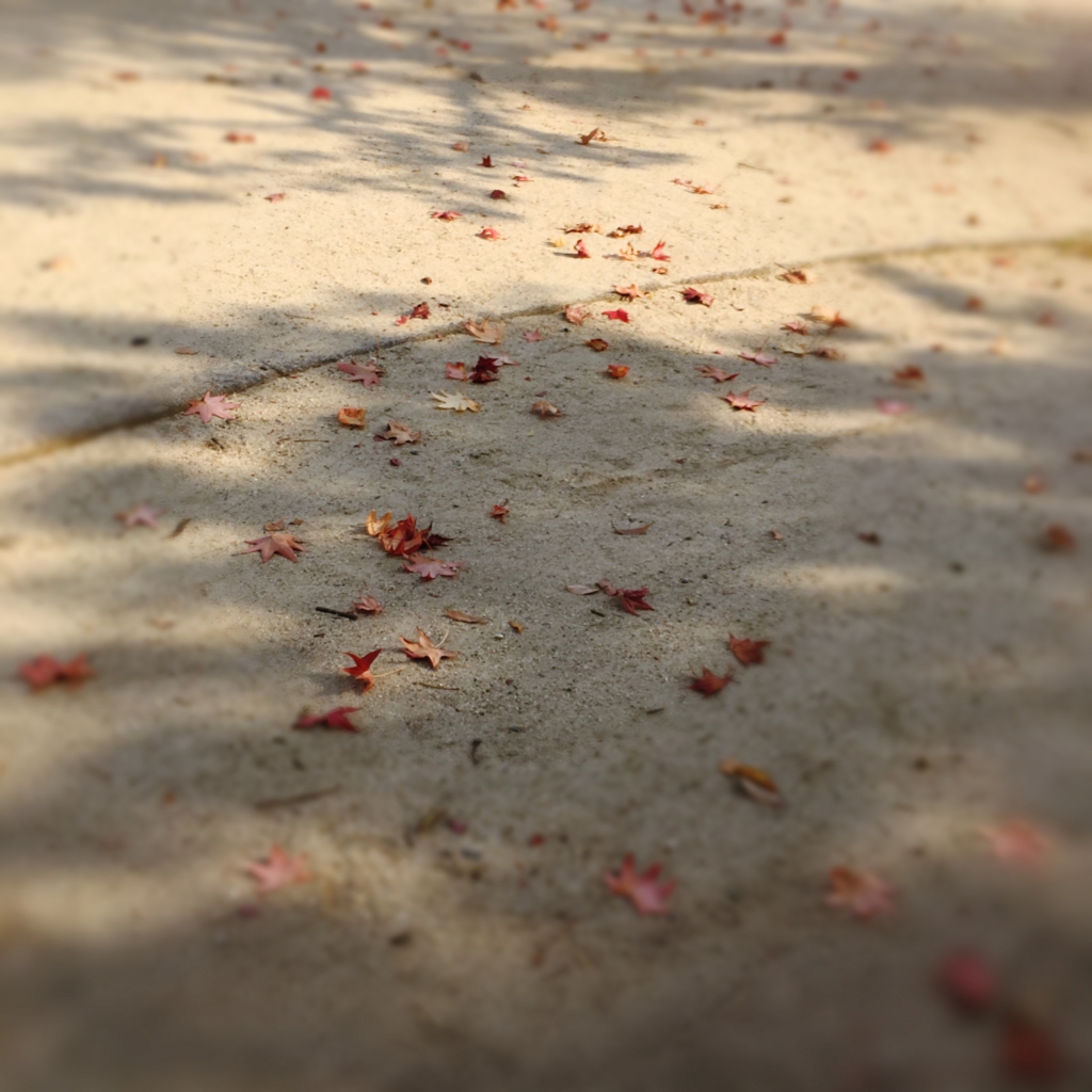 f:id:vejeboo:20151030175913j:plain f:id:vejeboo:20151030175913j:plain