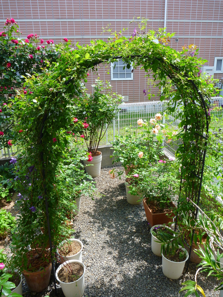 f:id:verandarosegarden:20160520073356j:plain f:id:verandarosegarden:20160520073356j:plain