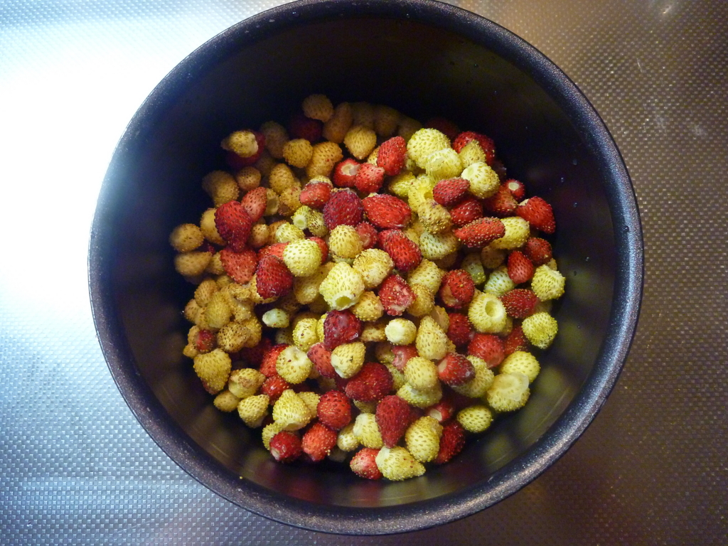 f:id:verandarosegarden:20160607145203j:plain