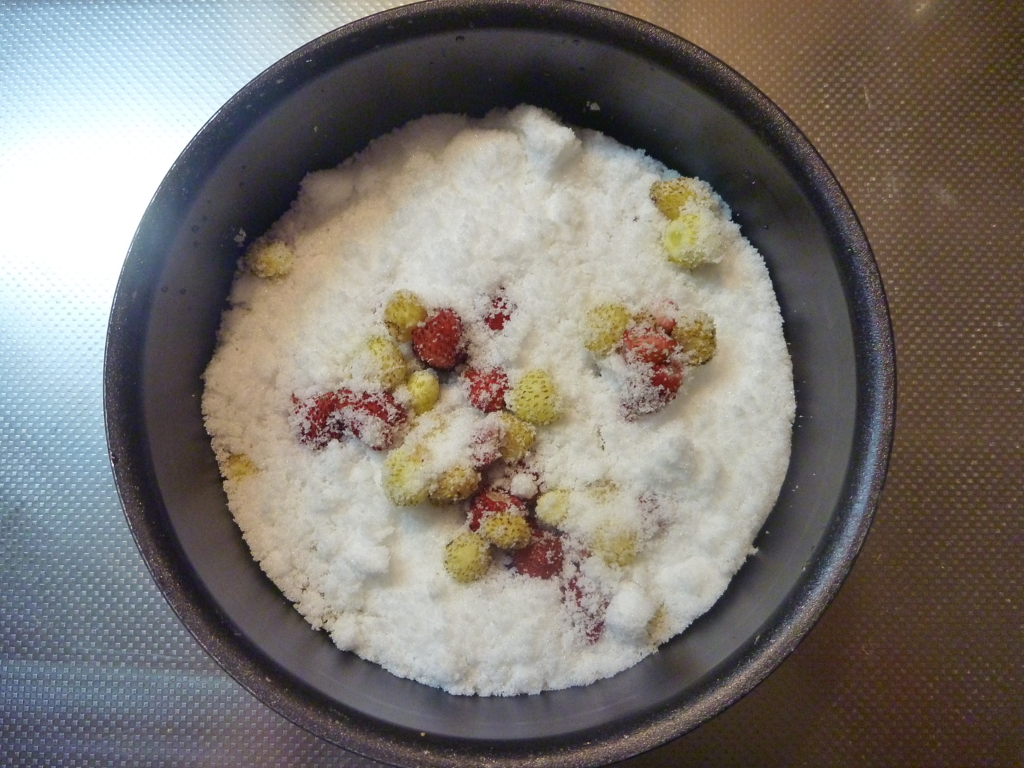 f:id:verandarosegarden:20160607145345j:plain f:id:verandarosegarden:20160607145345j:plain