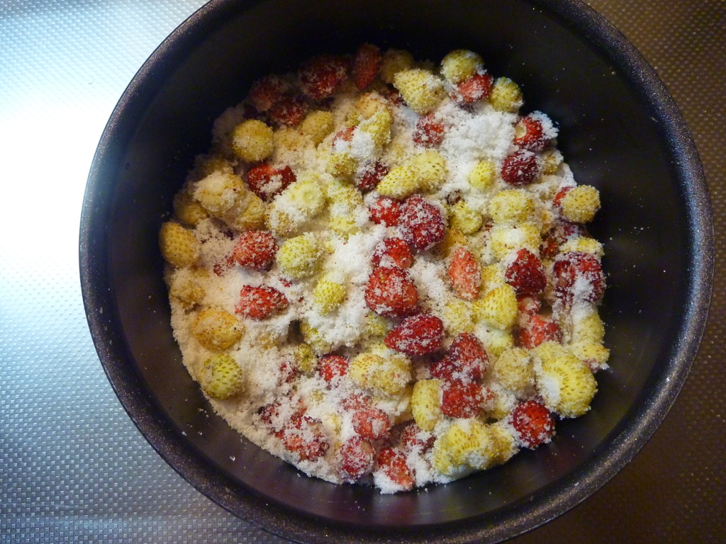 f:id:verandarosegarden:20160607145506j:plain