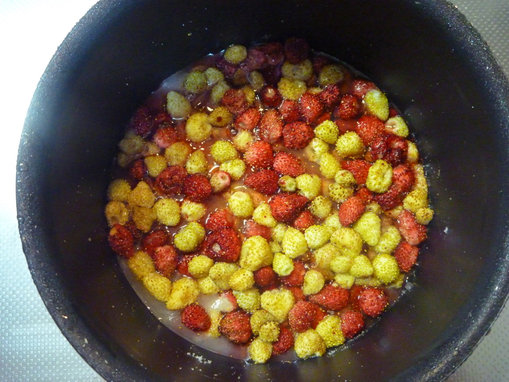 f:id:verandarosegarden:20160607145607j:plain f:id:verandarosegarden:20160607145607j:plain