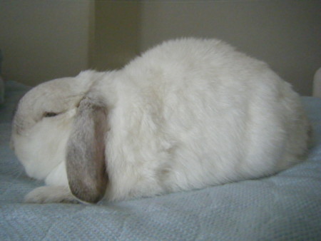 f:id:vezuber22:20080906094630j:image f:id:vezuber22:20080906094630j:image