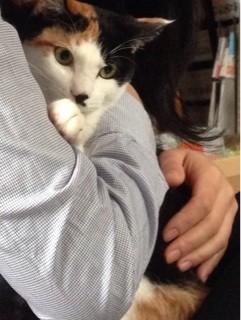 f:id:violet-cat:20140213223632j:plain f:id:violet-cat:20140213223632j:plain