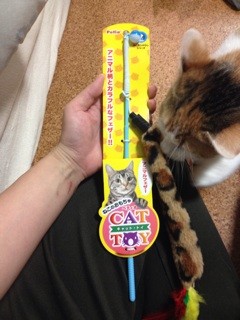 f:id:violet-cat:20140218233435j:plain f:id:violet-cat:20140218233435j:plain