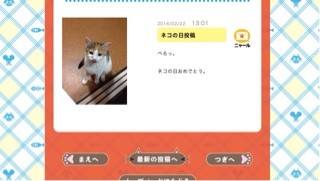 f:id:violet-cat:20140222192145j:plain f:id:violet-cat:20140222192145j:plain