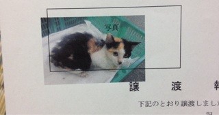 f:id:violet-cat:20140311220714j:plain f:id:violet-cat:20140311220714j:plain