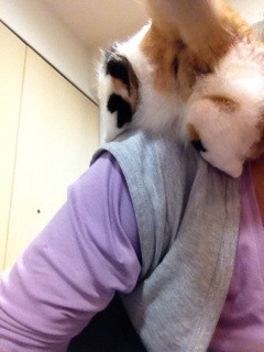 f:id:violet-cat:20140314232100j:plain f:id:violet-cat:20140314232100j:plain