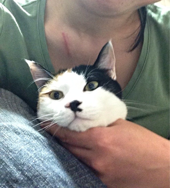 f:id:violet-cat:20140508221127j:plain f:id:violet-cat:20140508221127j:plain
