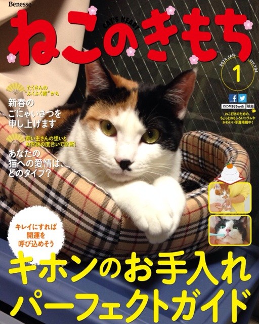f:id:violet-cat:20140527210144j:plain f:id:violet-cat:20140527210144j:plain
