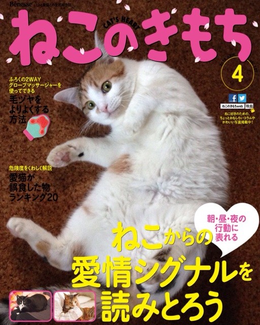 f:id:violet-cat:20140527210203j:plain f:id:violet-cat:20140527210203j:plain