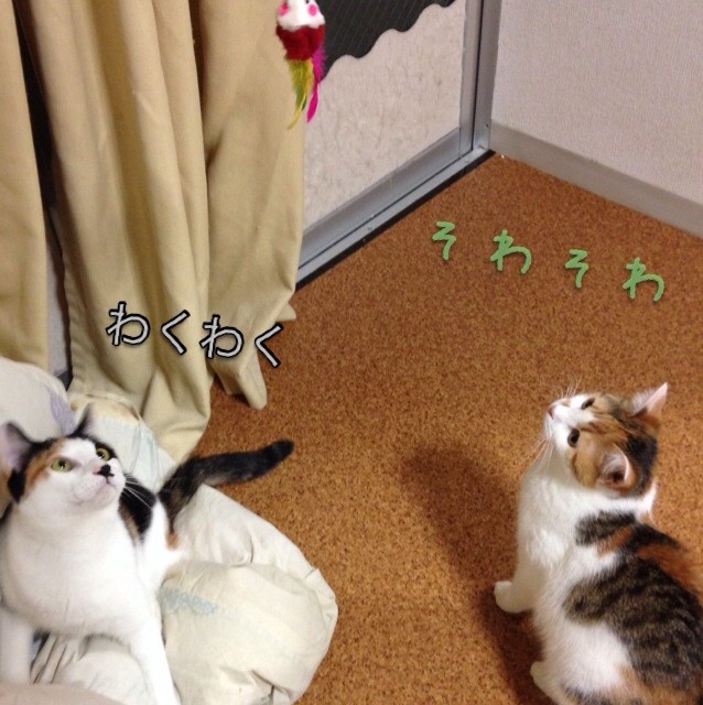 f:id:violet-cat:20140703230644j:plain