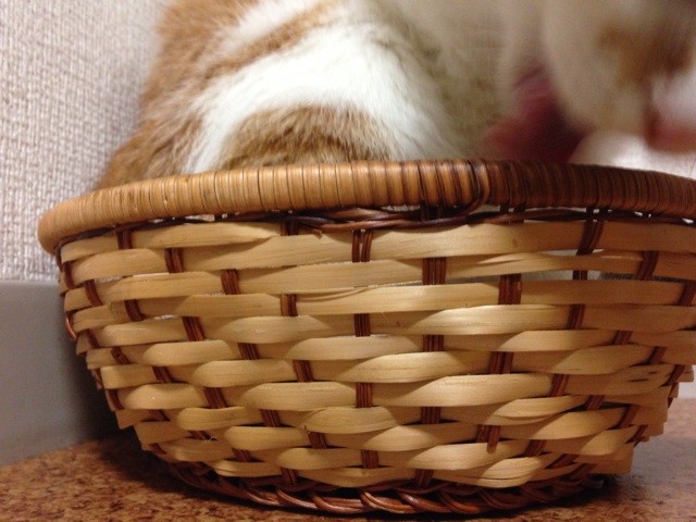 f:id:violet-cat:20140711221338j:plain f:id:violet-cat:20140711221338j:plain