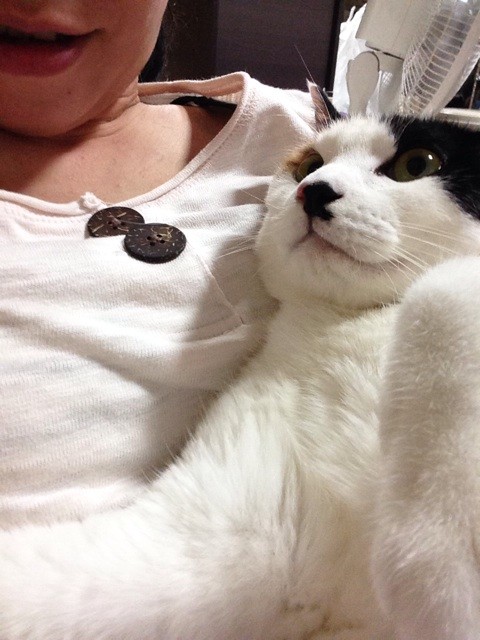 f:id:violet-cat:20140728004432j:plain f:id:violet-cat:20140728004432j:plain