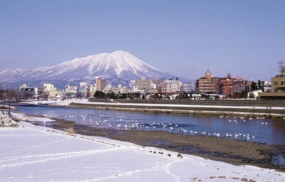 f:id:vivataro:20110401231720j:image f:id:vivataro:20110401231720j:image