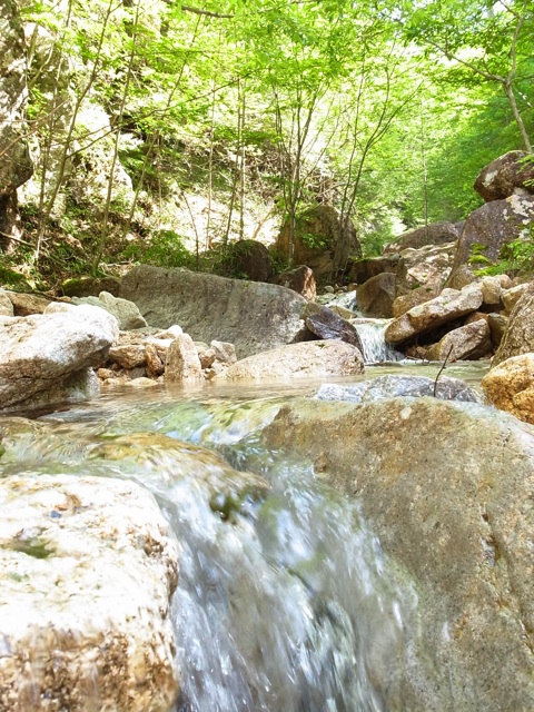 f:id:vivatrips:20140721230530j:plain f:id:vivatrips:20140721230530j:plain
